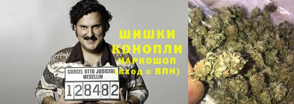 гидра Бугульма