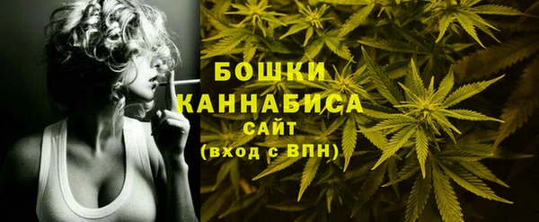 гидра Бугульма
