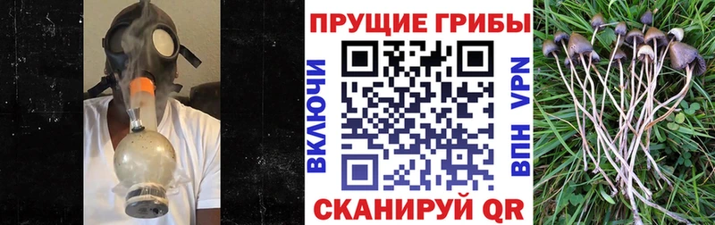 где продают наркотики Можайск Галлюциногенные грибы мухоморы